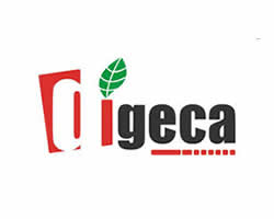 DIGECA250x200