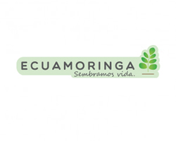 ECUAMORINGA250x200