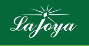 ESMERALDA-LA-JOYA