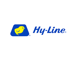 HY-LINE250x200